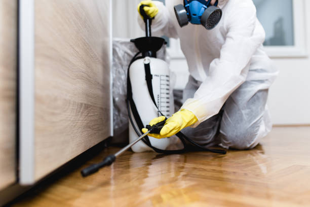 Best Wasp Removal Services  in Elizabeth, PA